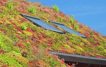 Lossiemouth living roof systems