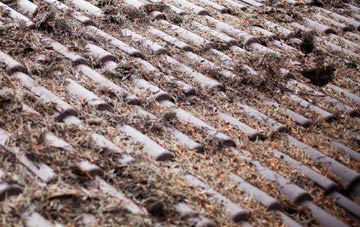 Lossiemouth roof cleaning companies