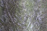 Lossiemouth fibreglass roof work